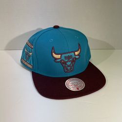 Chicago Bulls Mitchell & Ness NBA Teal Hat Cap Adult SnapBack OSFA NWT 