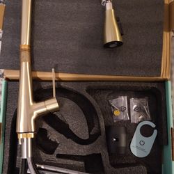 Gooseneck Single Handle Pull Down Sprayer Kitchen Faucet with Deck Plate and Flexible Hose Pull Out Spout in Brushed Gold