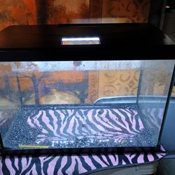 Fish Tank (medium)