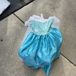 Frozen Dress And Accessories