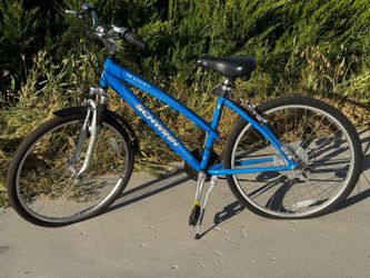 Schwinn Skyliner - Blue - $100