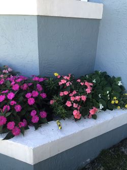 Time Flowers