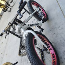 Framed Mini-sota Bike 