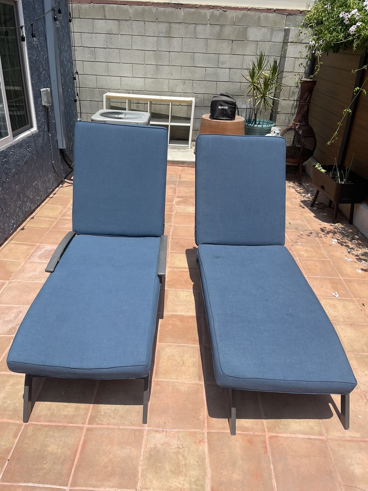 Lounge Chairs