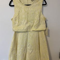 Forever 21 Exclusive Dress Size L Yellow New