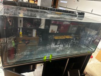 Red Sea Aquarium Saltwater
