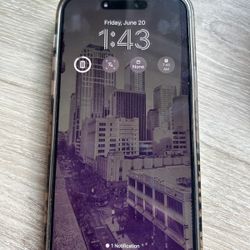 iPhone Pro Max 2014 256 Gig No Sim Restrictions 