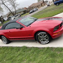 2005 Ford Mustang - No GT