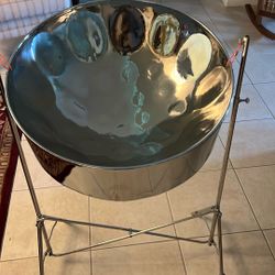 Steel Drum With Case And Stand For Sale 