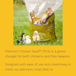 Premium Chicken Sand