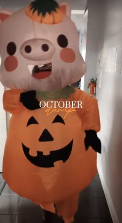 Pig Inflatable Costume 