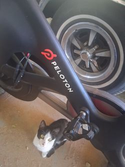 Peleton bike