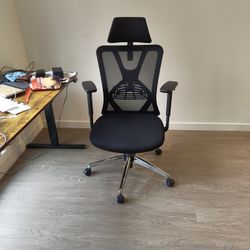 
Ticova Ergonomic Office Chair - High Back Desk Chair with Adjustable Lumbar Support, Headrest & 