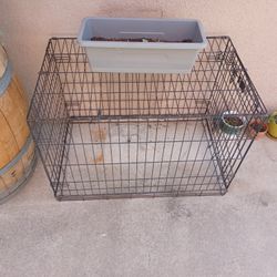 animal crate wire bottom is open great for 🐢 or 🐰? 