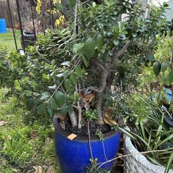 All Different Prices 