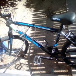 Schwinn Hybrid
