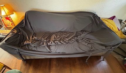 FREE protective couch cover