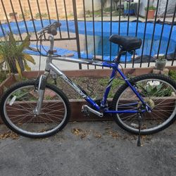 21 Speed Mountain Bike