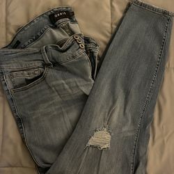 Torrid Jegging 20R