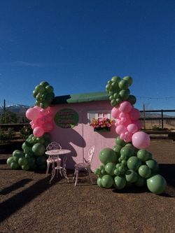 Pink and Green backdrop