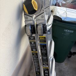 18 Ft Gorillas Ladder