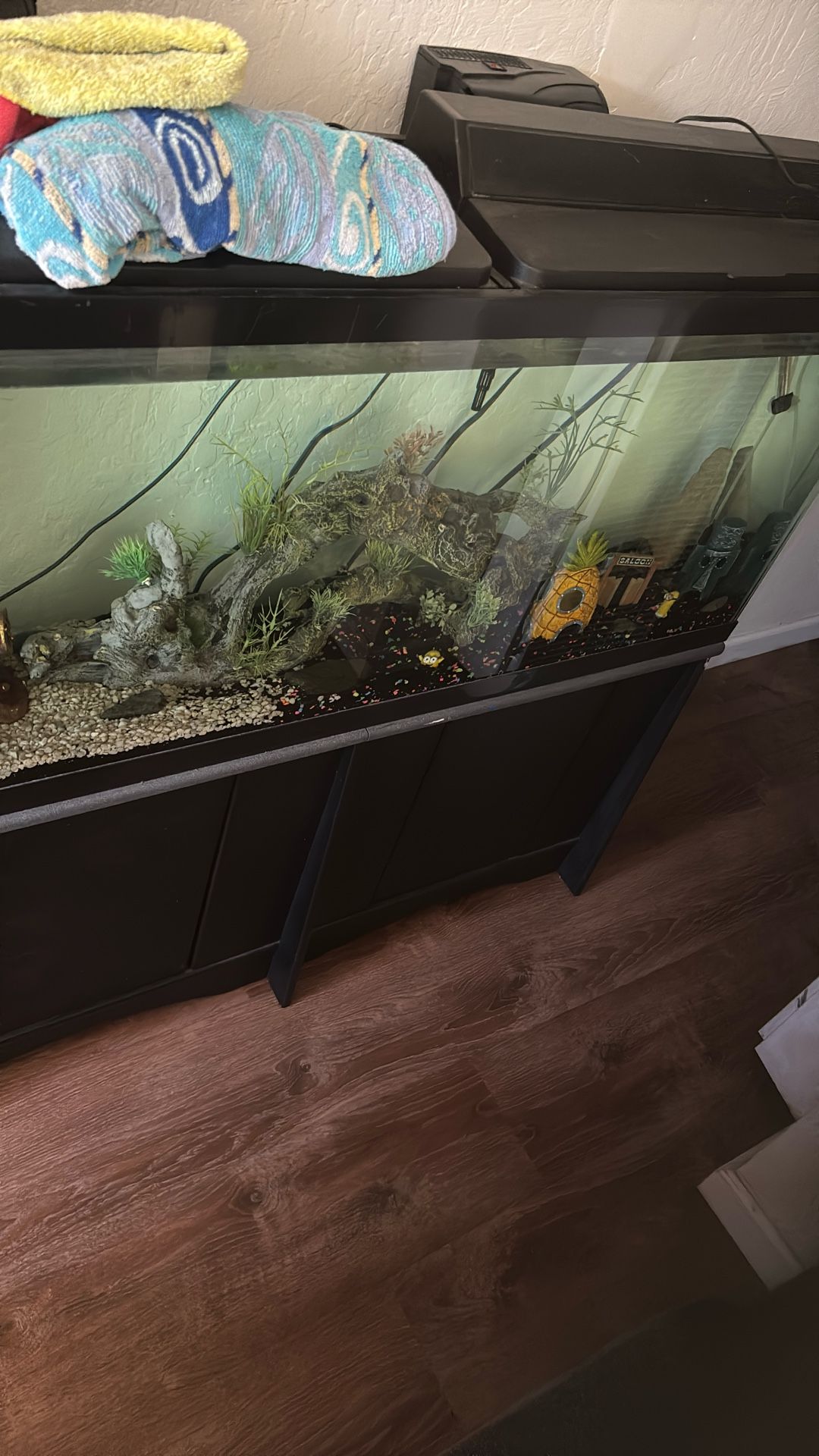 Fish Tank 