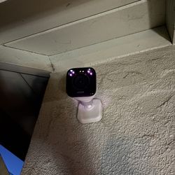 Vivent Cameras And Monitor