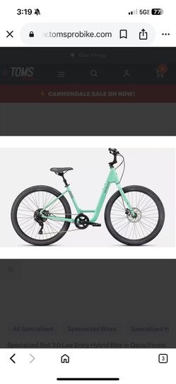 Specialized Roll 3.0 Low Entry Hybrid Bike