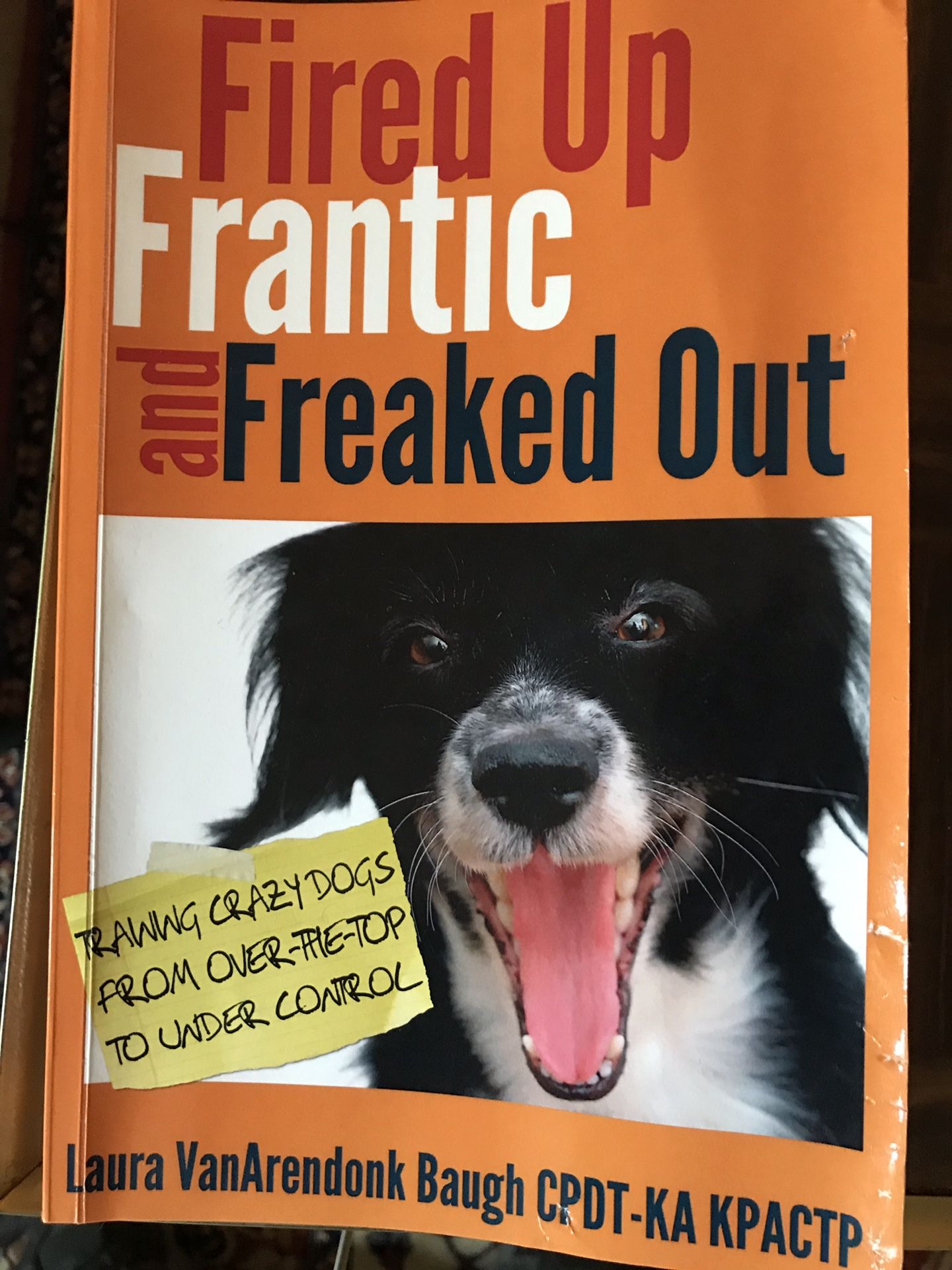 Fired Up, Frantic, and Freaked Out: Training the Crazy Dog