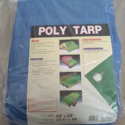 Tarp