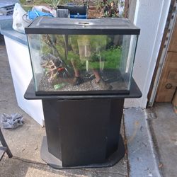 Fish Tank 