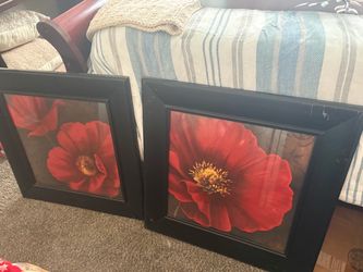 Pictures