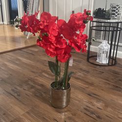 Decor Floral 