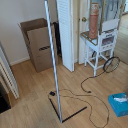 Standing LED Light Strip With Remote