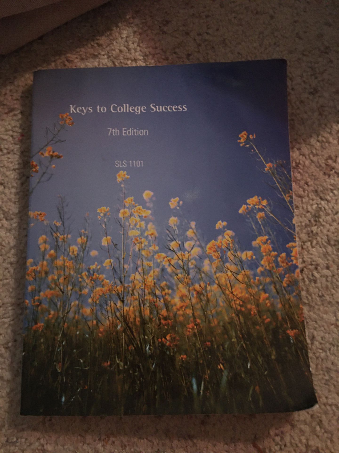 Keys to college success textbook