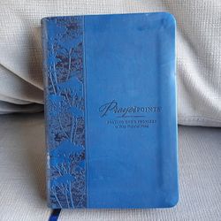 Prayer Points - Praying God's Promises at Your Point of Need Book