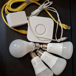 phillips hue hub & smart bulbs
