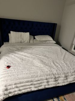 Everly Quinn Joclynn Upholstered Wingback King Bed – Navy Velvet