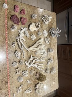 Coral collection