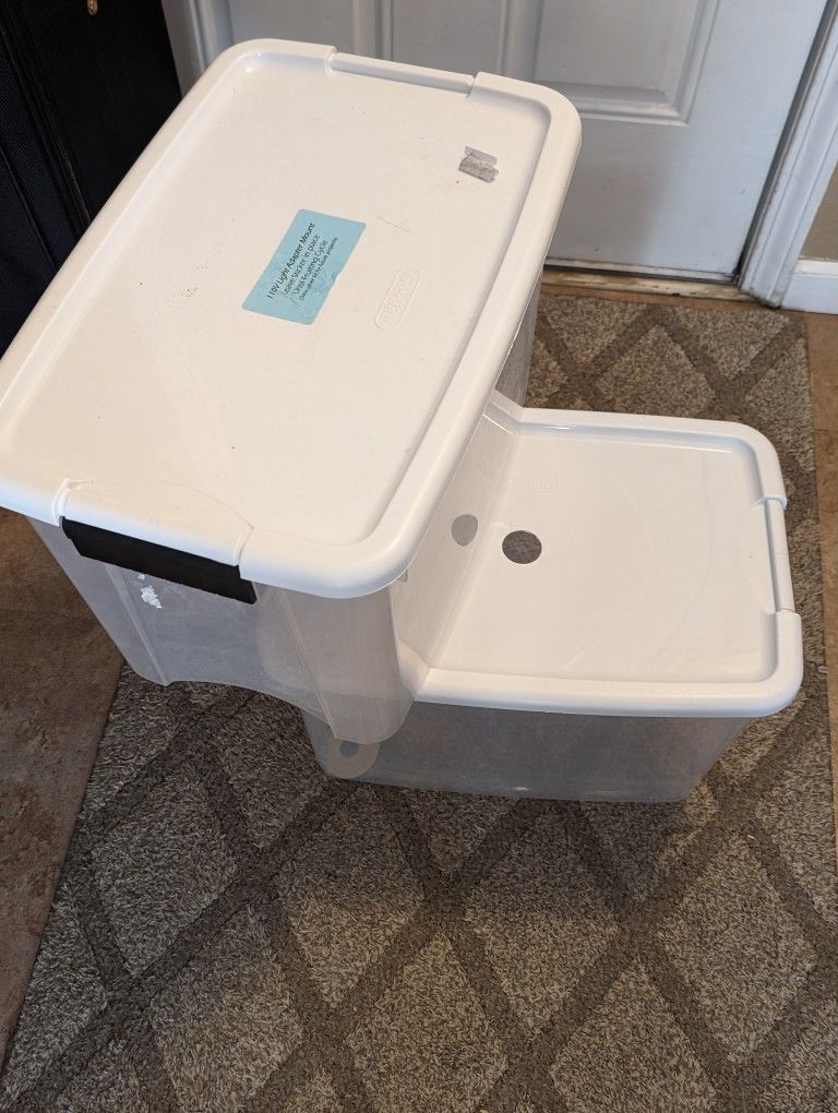 Mycology Startup Kit