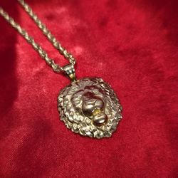 10k Gold Rope Chain & Lion Head Pendant 