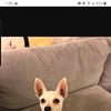Nahla