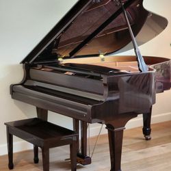 Young Chang Baby Grand Piano, PG-175