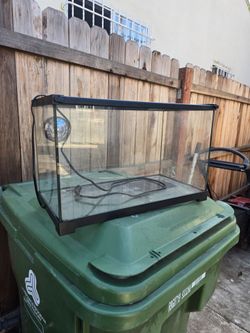 10 gallon tank