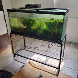Fish Tank. 75 Gallons, 48"×18"×21. With Stand