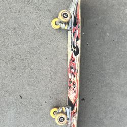 Skate Board 