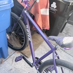 29er Frame Only 