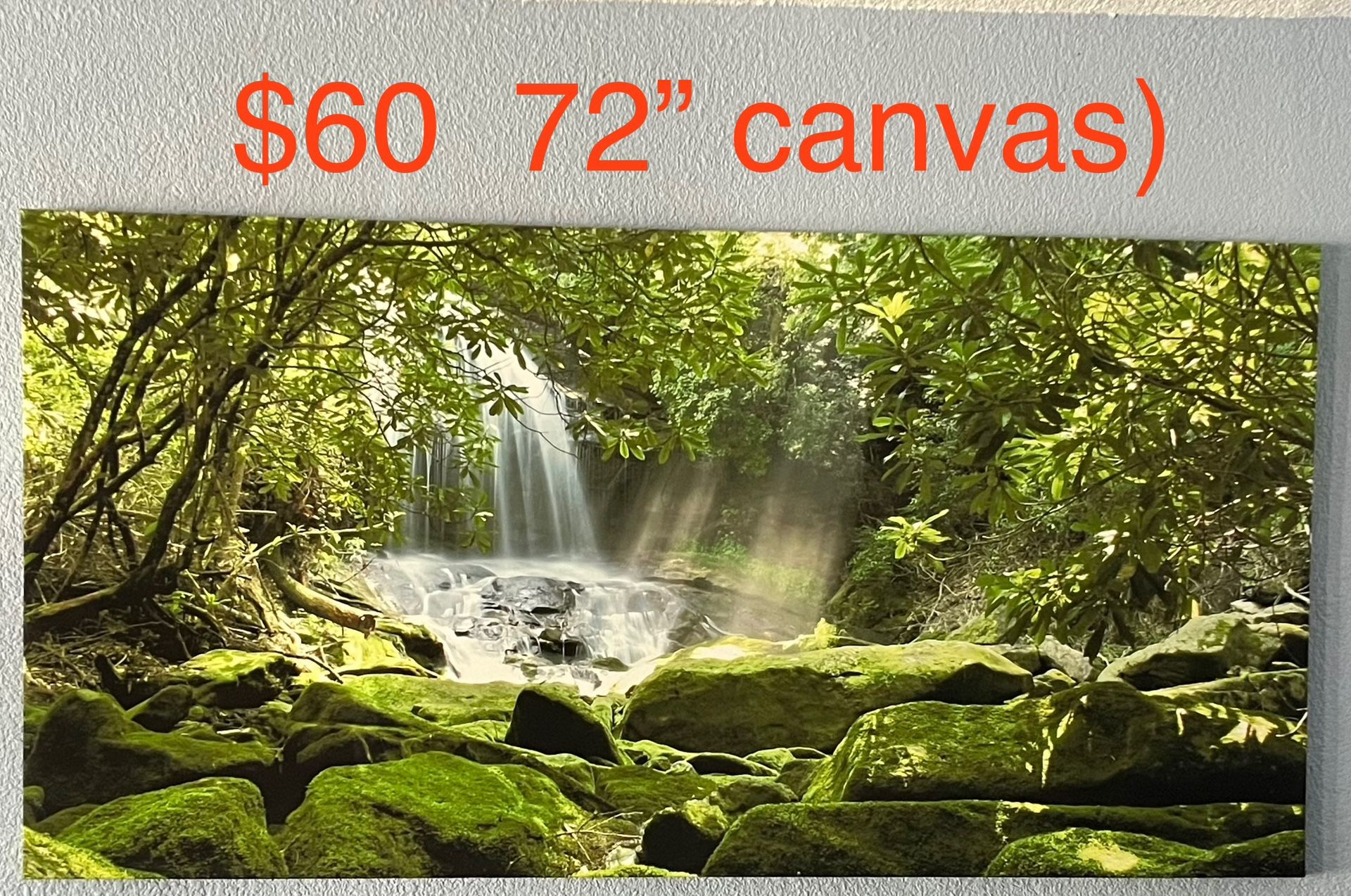 Canvas Wall Art