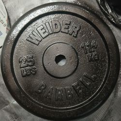 Weigh Disk 25 Pounds