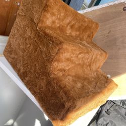Pet Steps